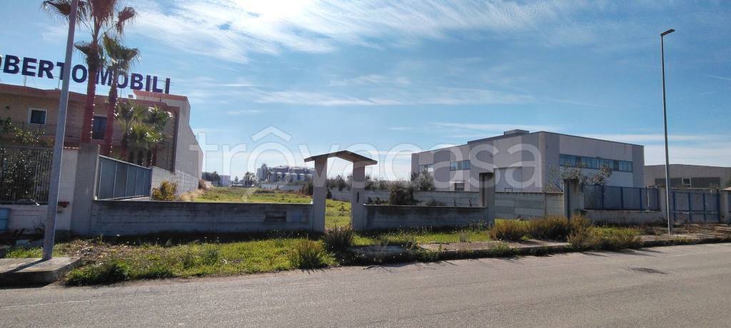 terreno agricolo in vendita a Cerignola