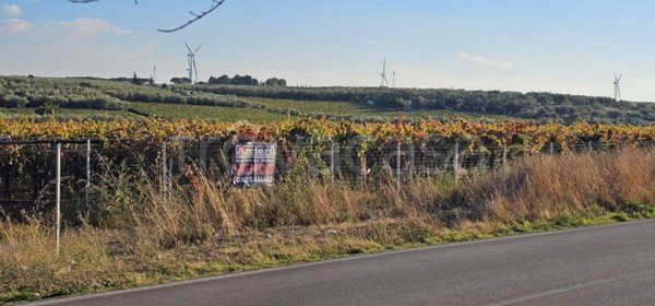 terreno agricolo in vendita a Cerignola