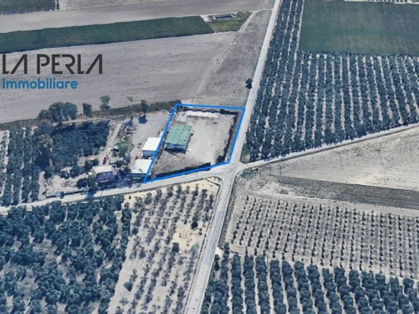 locale commerciale in vendita a Cerignola