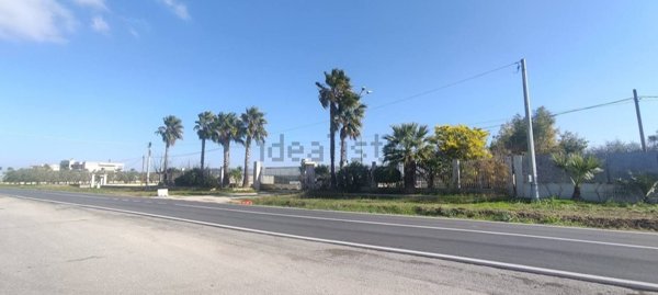 negozio in vendita a Cerignola