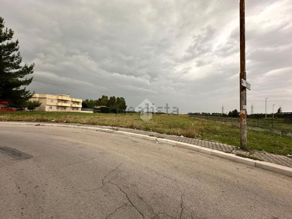 terreno agricolo in vendita a Cerignola in zona Centro Città
