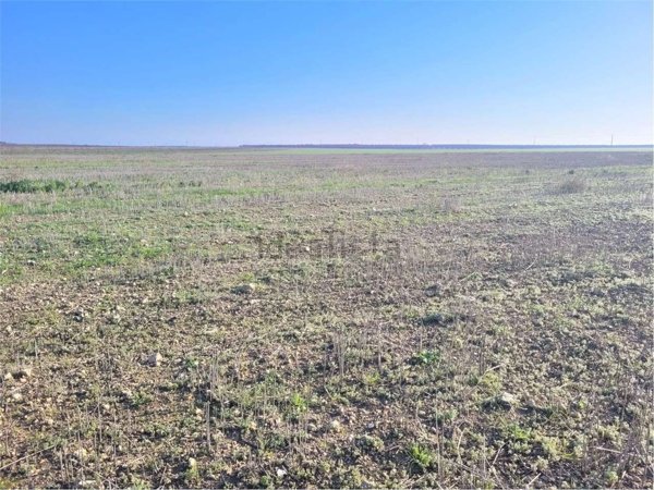 terreno agricolo in vendita a Cerignola