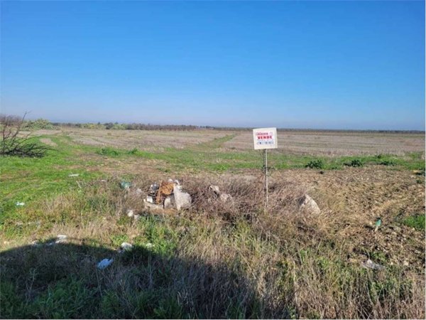 terreno agricolo in vendita a Cerignola in zona Moschella