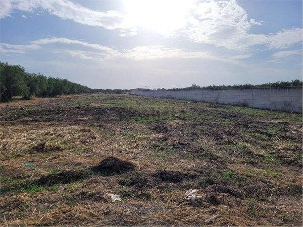 casa indipendente in vendita a Cerignola