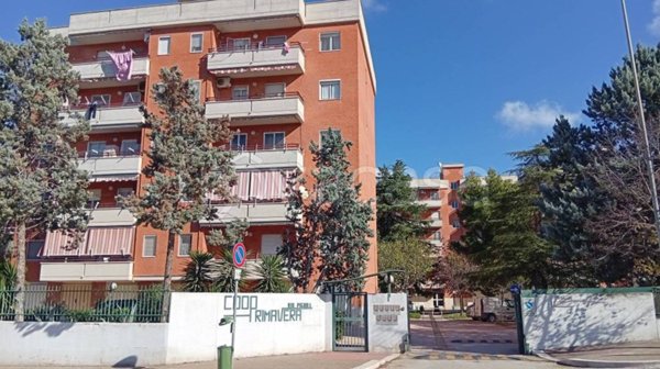 appartamento in vendita a Cerignola