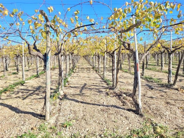 appartamento in vendita a Cerignola