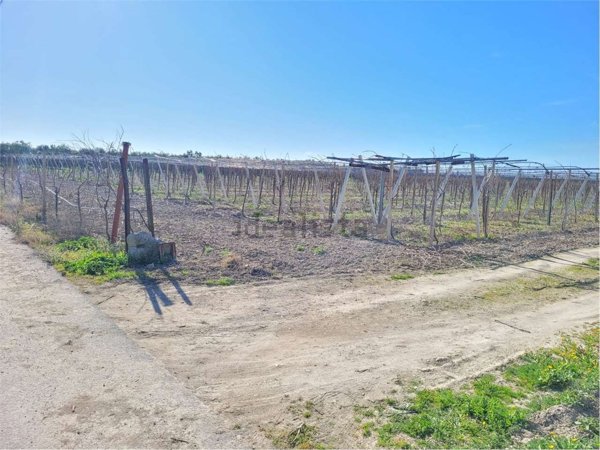 azienda agricola in vendita a Cerignola