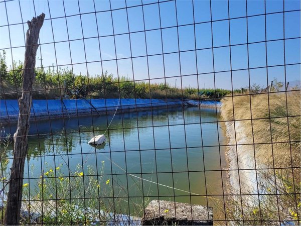 casa indipendente in vendita a Cerignola