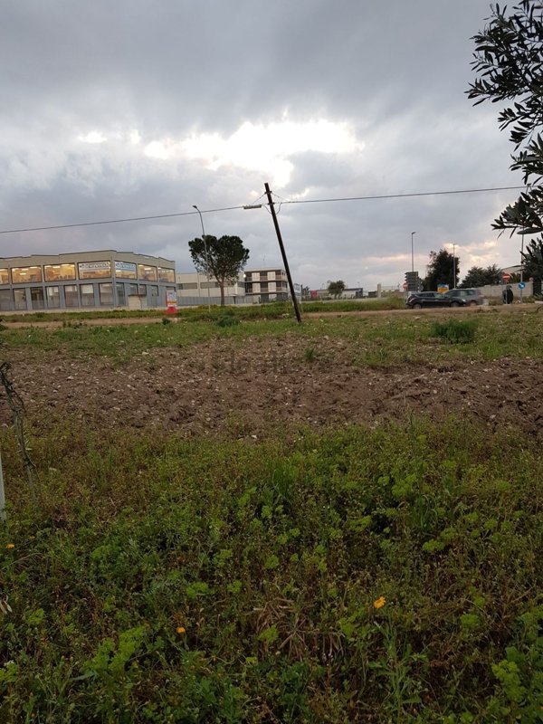 casa indipendente in vendita a Cerignola