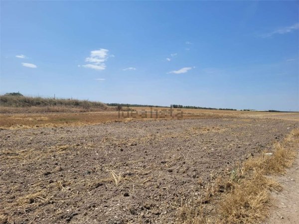 terreno agricolo in vendita a Cerignola