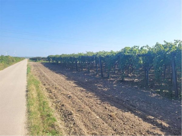 negozio in vendita a Cerignola