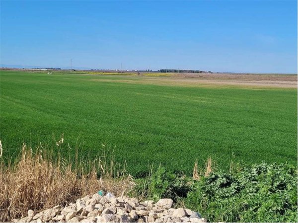 negozio in vendita a Cerignola