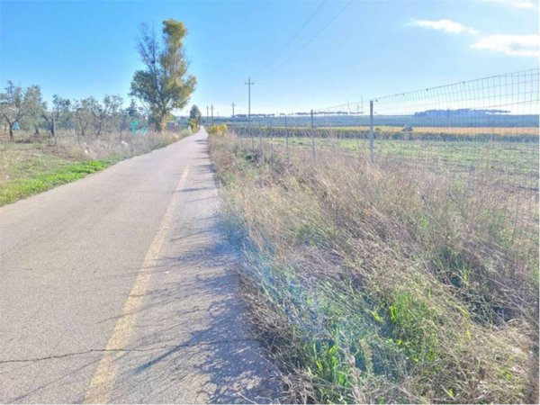 negozio in vendita a Cerignola