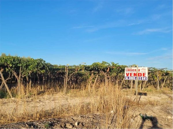 terreno agricolo in vendita a Cerignola