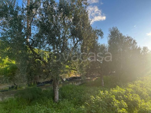 terreno agricolo in vendita a Cerignola