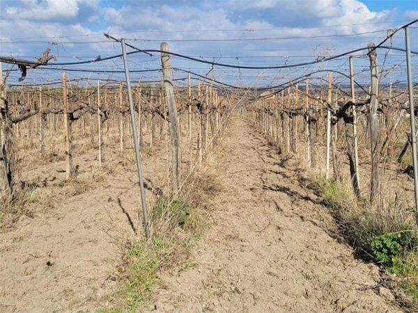 appartamento in vendita a Cerignola