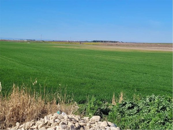 azienda agricola in vendita a Cerignola
