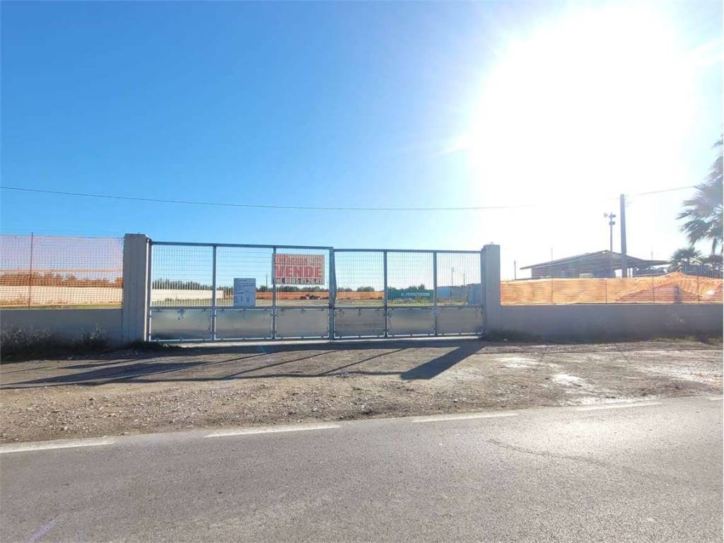 terreno agricolo in vendita a Cerignola