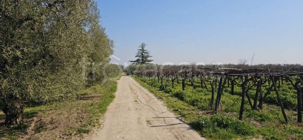 terreno agricolo in vendita a Cerignola