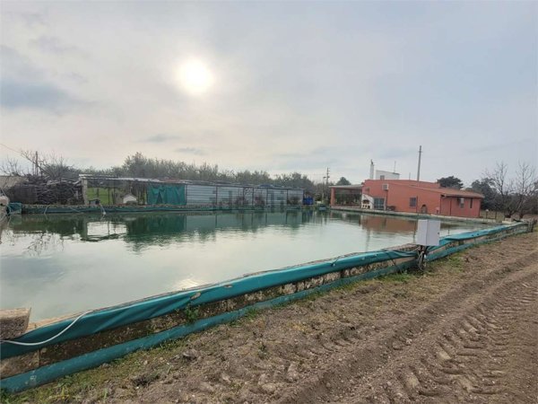 casa indipendente in vendita a Cerignola