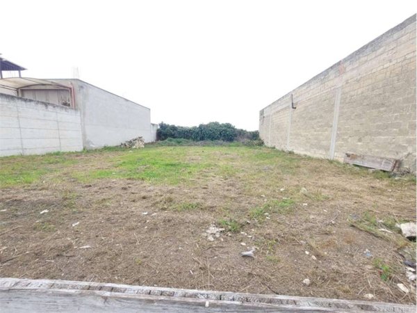 terreno agricolo in vendita a Cerignola