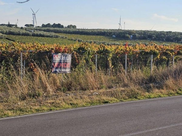 terreno agricolo in vendita a Cerignola
