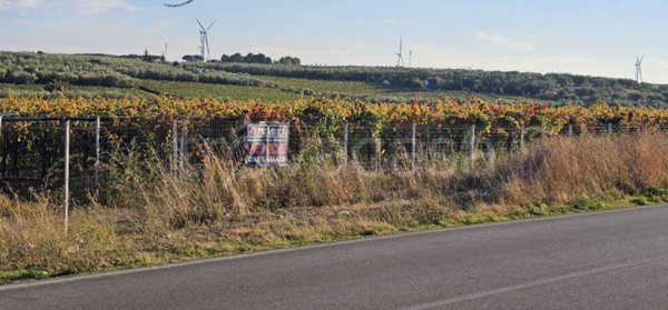 terreno agricolo in vendita a Cerignola