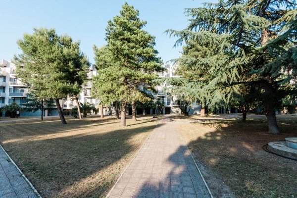 appartamento in vendita a Cerignola