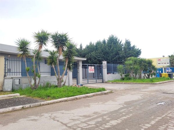 ufficio in vendita a Cerignola