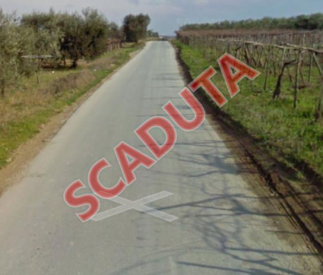 terreno agricolo in vendita a Cerignola