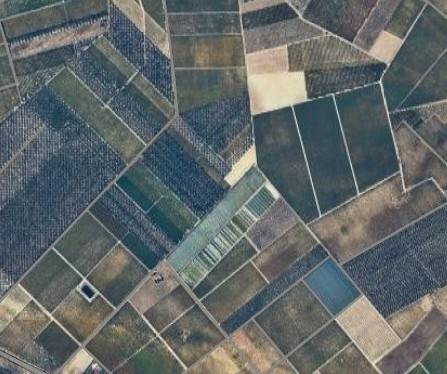 terreno agricolo in vendita a Cerignola