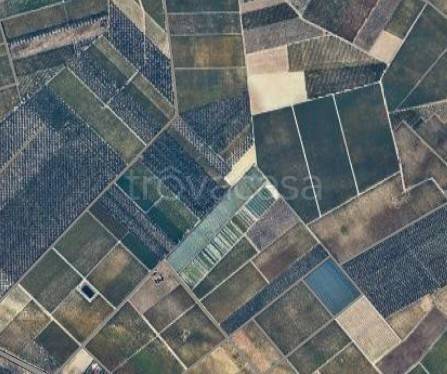 terreno agricolo in vendita a Cerignola