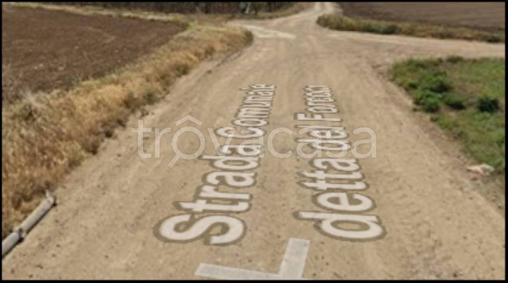 terreno agricolo in vendita a Cerignola