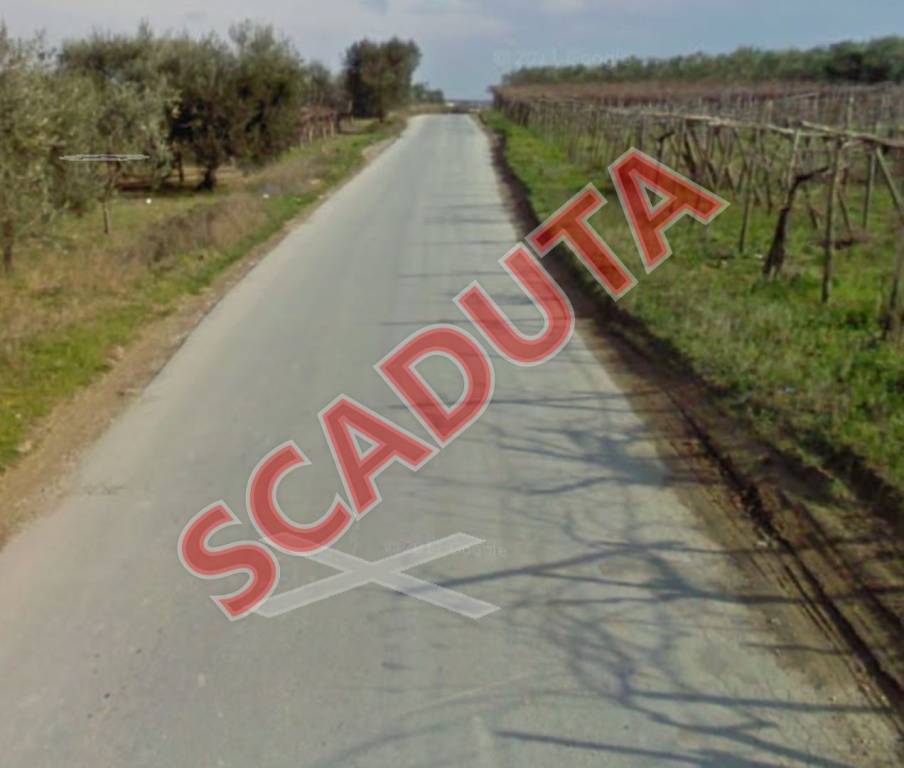 terreno agricolo in vendita a Cerignola