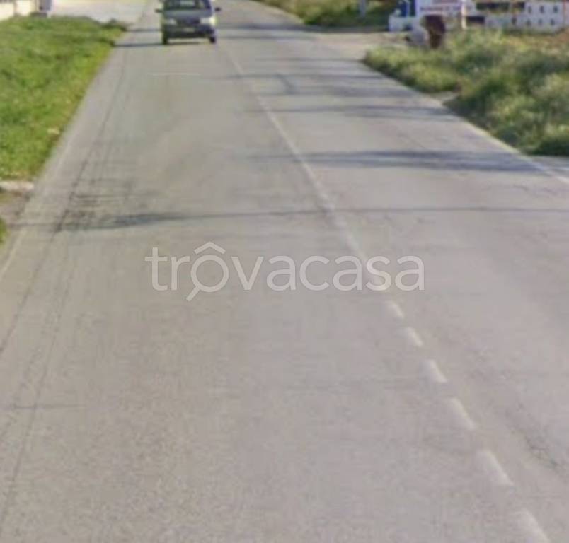 terreno agricolo in vendita a Cerignola