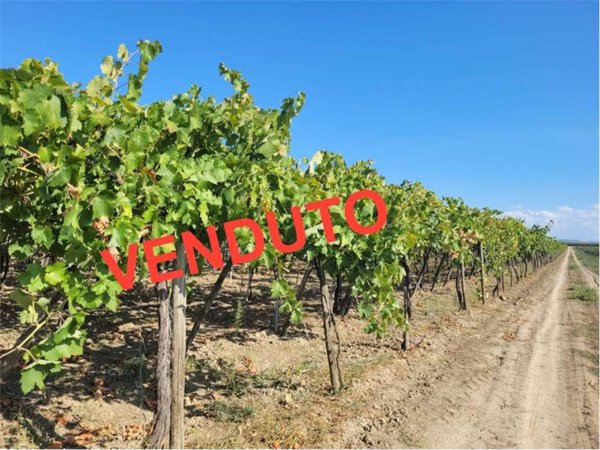 terreno agricolo in vendita a Cerignola