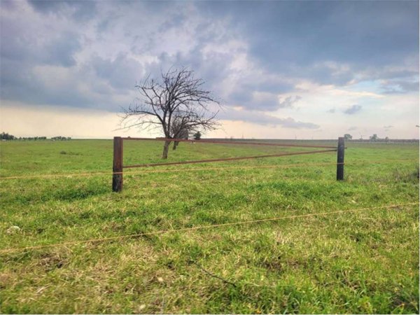 terreno agricolo in vendita a Cerignola