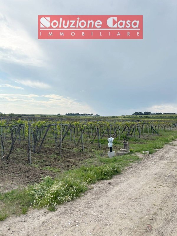terreno agricolo in vendita a Cerignola