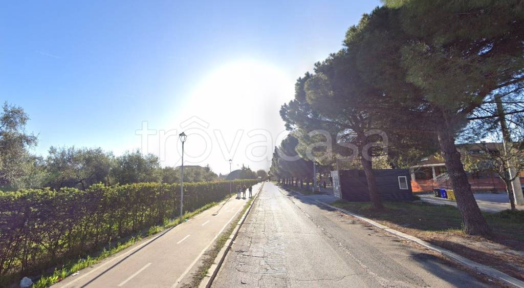 terreno agricolo in vendita a Cerignola