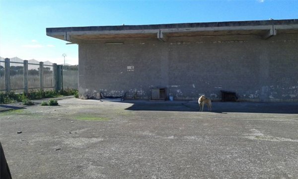 locale commerciale in vendita a Cerignola