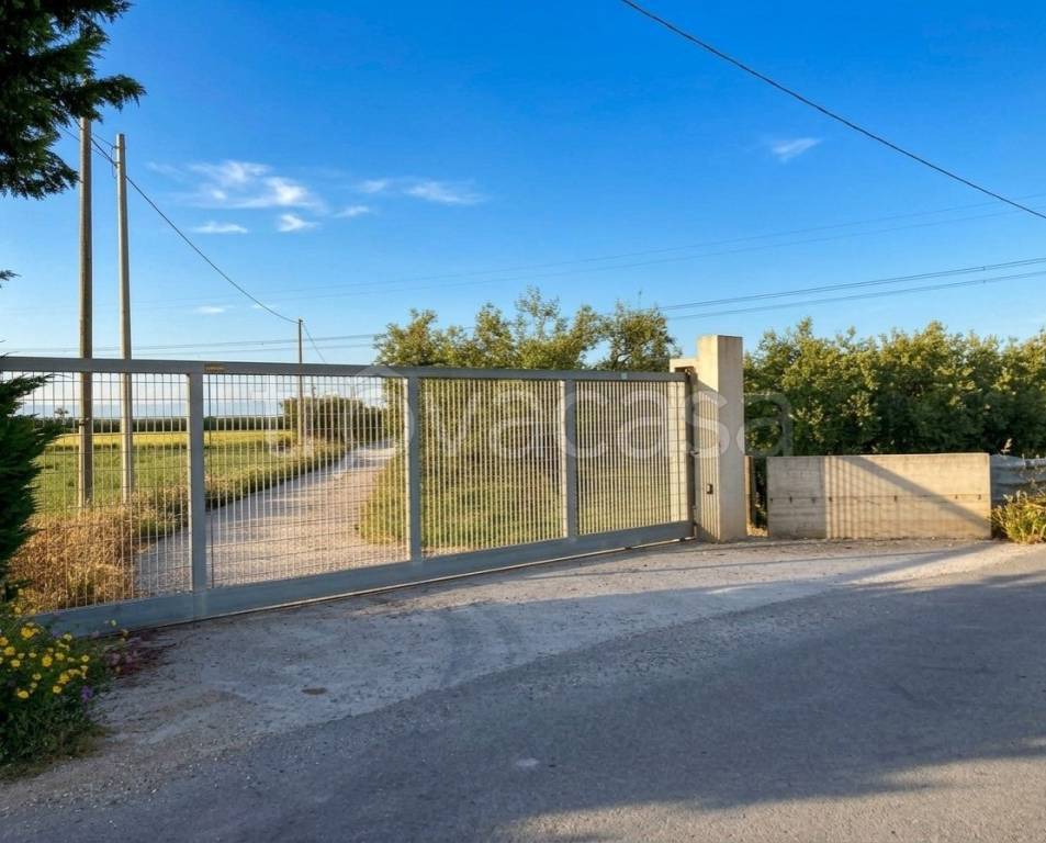 azienda agricola in vendita a Cerignola