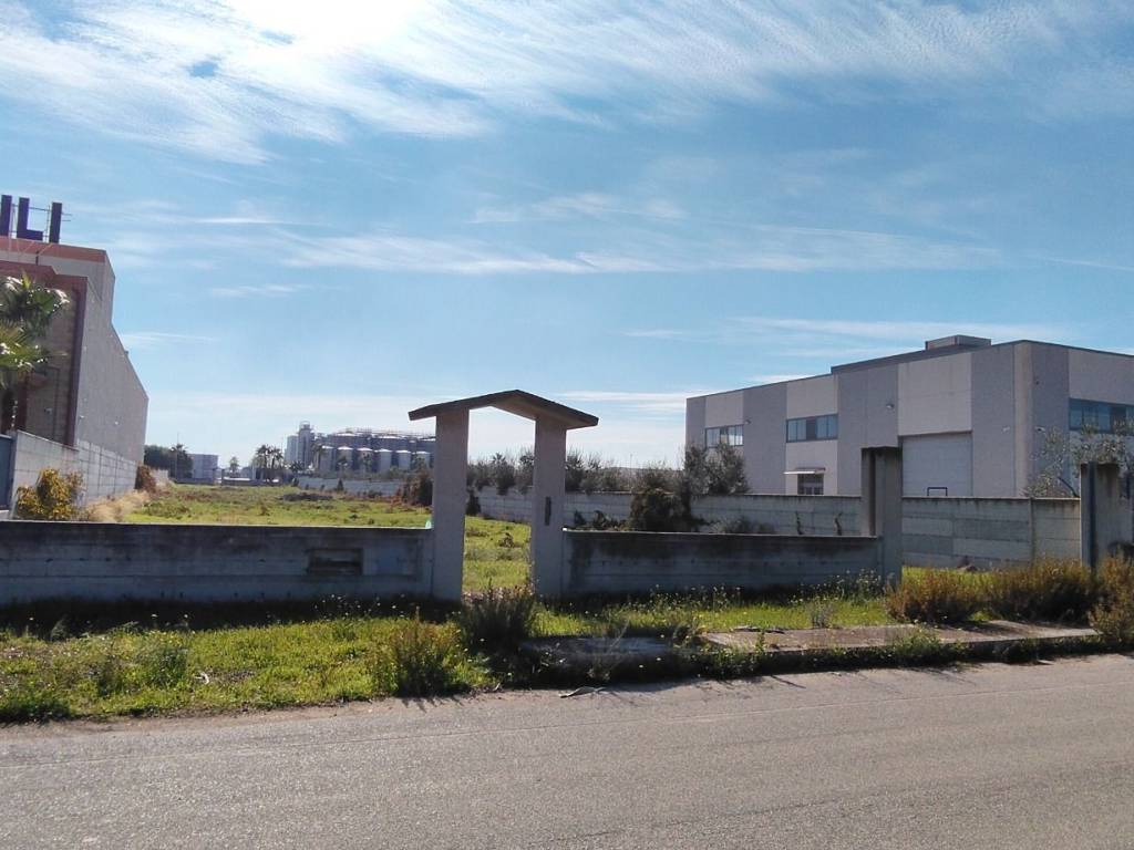 terreno agricolo in vendita a Cerignola
