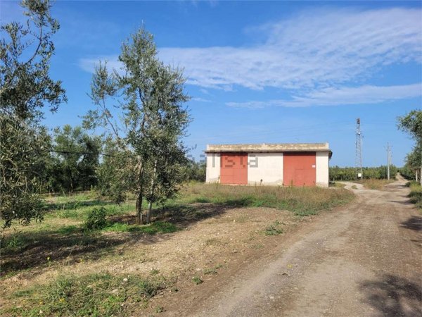 locale commerciale in vendita a Cerignola in zona Cerignola Campagna