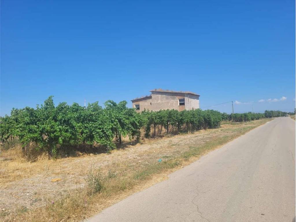 terreno agricolo in vendita a Cerignola