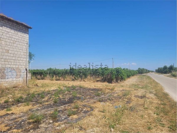 terreno agricolo in vendita a Cerignola