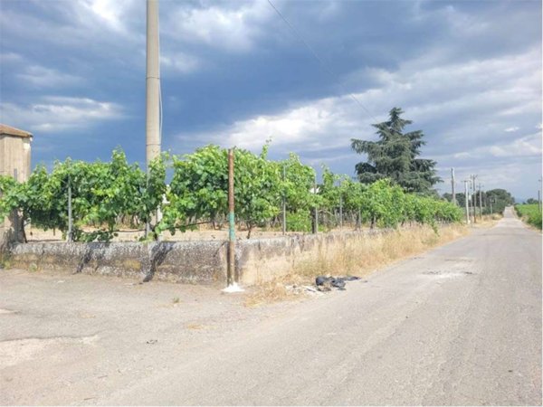 terreno agricolo in vendita a Cerignola
