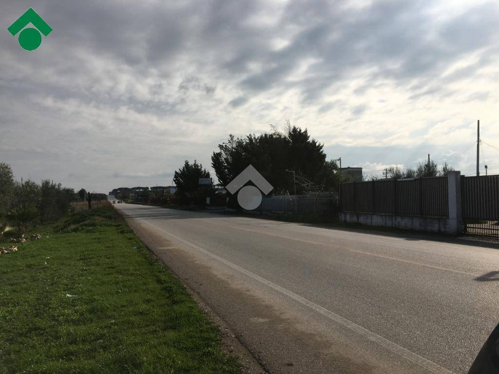 negozio in vendita a Cerignola in zona Moschella