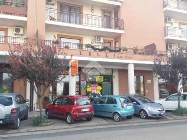 negozio in vendita a Cerignola in zona Centro Città