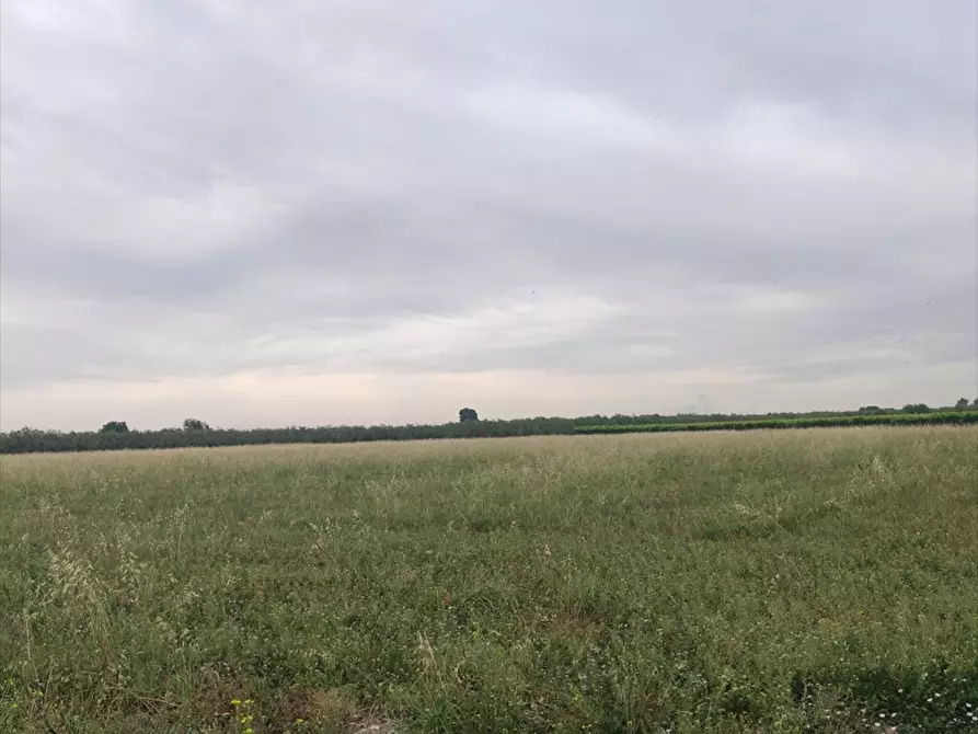 mansarda in vendita a Cerignola in zona Centro Città
