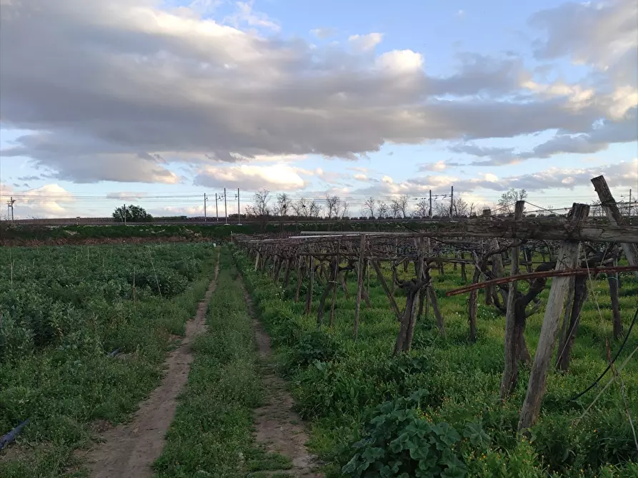 mansarda in vendita a Cerignola in zona Centro Città